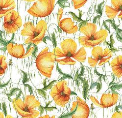 Hand-drawn watercolor floral seamless pattern with the yellow poppy flowers and grass on the white background in vintage style. Natural and vibrant repeated print for textile, wallpaper. Wild blossom
