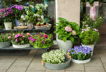 Fototapeta na wymiar White and purple flowers in flower shop