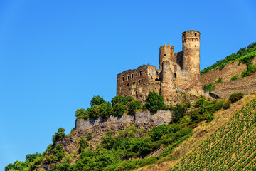 Burg Ehrenfels Ruine Hangburg Rhein Rheingau Taunus