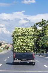 Truck load of bananas