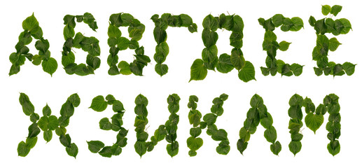 Cyrillic Letters from leaves lime