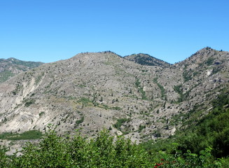Area north of Mount St. Helens and Spirit Lake 35 years after eruption. The successive landslide into Spirit Lake caused a huge wave from left, sweeping the mountain and leaving it completely bared.