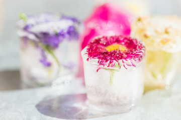Obraz na płótnie Canvas Frozen Flowers in Ice Cubes