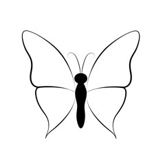 Butterfly. Vector