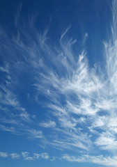  Nuage Cirrus