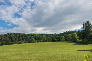 Landschaft im Sommer