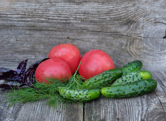 cucumbers, tomatoes,lettuce, Basil,onion, fennel on the Board