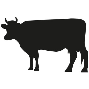 Vector image of a cow. Silhouette of the cow.