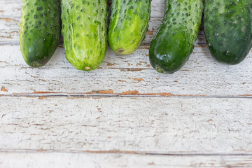 Cucumbers on white background