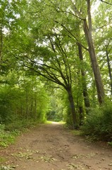 Park in Heepen, Bielefeld, Westphalia, Germany