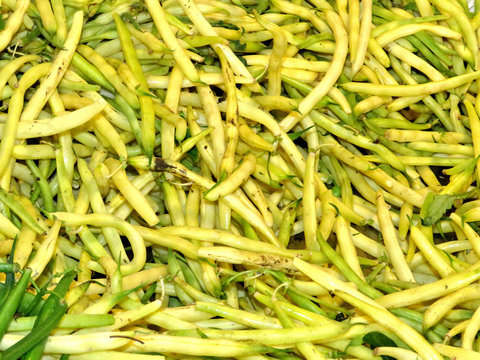  Markham yellow beans 2017