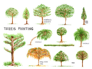 Trees painting isolate on white background