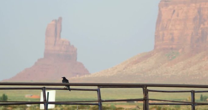 Crow Raven Blackbird perched on fence in front of red desert landscape with sandstone buttes in Monument Valley, Colorado Plateau in Utah near the Four corners area 4K