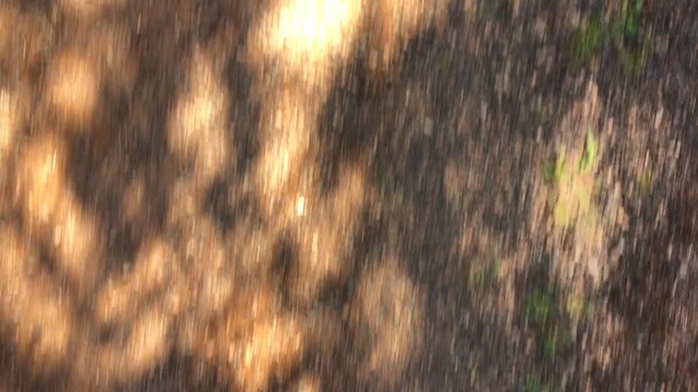 Punto di vista ragazzo che corre alla sera su strada di campagna
