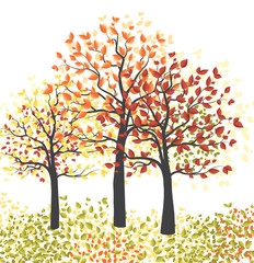 Autumn multicolored forest