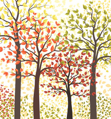 Autumn multicolored forest