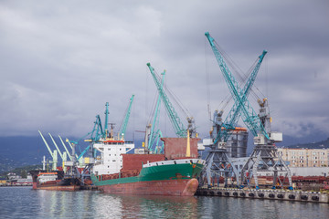 Fototapeta na wymiar cargo ships in the port