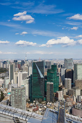 Fototapeta premium JAPAN, TOKYO-FEBRUARY 14, 2017: Tokyo with skyline in Tokyo Japan.