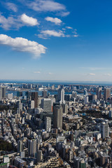 Fototapeta premium JAPAN, TOKYO-FEBRUARY 14, 2017: Cyty with skyline in Tokyo Japan.