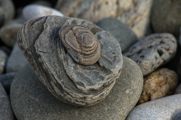 Fototapeta na wymiar A variety of stones on the beach by the sea