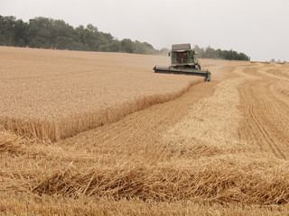 Obraz premium Moisson dans un champ du Ternois, département du Pas-de-Calais, France
