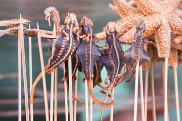 China Beijing, traditional insect food on skewer