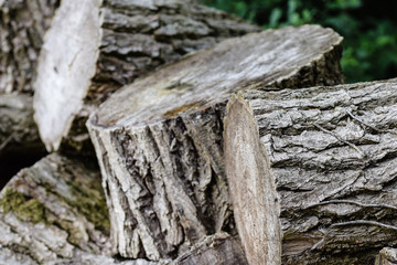 Pile stack of chopped tree trunk firewood