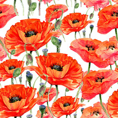Plakaty  Wildflower maki kwiatki w stylu akwareli. Pełna nazwa rośliny: maki. Aquarelle dziki kwiat dla tła, tekstury, wzoru opakowania, ramki lub obramowania.