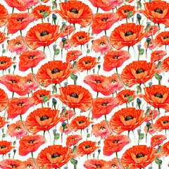 Wildflower poppies flower pattern in a watercolor style. Full name of the plant: poppies. Aquarelle wild flower for background, texture, wrapper pattern, frame or border.