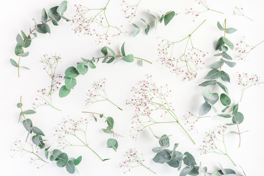 Flowers composition. Abstract pattern made of pink gypsophila flowers and eucalyptus branches on white background. Flat lay, top view