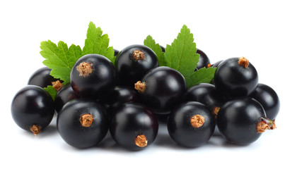 black currant with green leaf isolated on white background