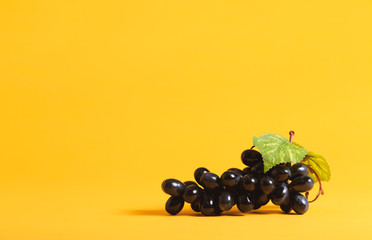 Purple grapes on a bright yellow background