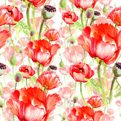 Wildflower poppy flower pattern in a watercolor style. Full name of the plant: poppies. Aquarelle wild flower for background, texture, wrapper pattern, frame or border.