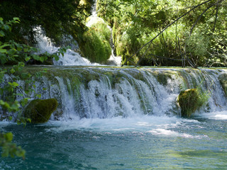 Fototapeta premium Natur 