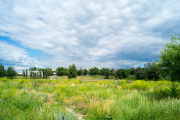Naklejka premium City Park