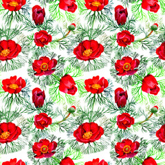 Wildflower peonies flower pattern in a watercolor style. Full name of the plant: Peonies herbaceous. Aquarelle wild flower for background, texture, wrapper pattern, frame or border.