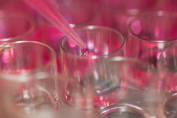 Pipetting of microtiterplates in laboratory, close-up