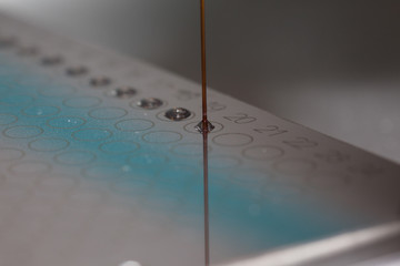 Pipetting of MALDI-TOF target in laboratory, mass-spectrometry