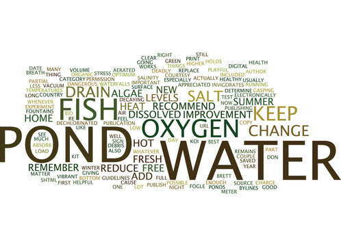 FISH HEALTH IN HOT SUMMER HEAT Text Background Word Cloud Concept