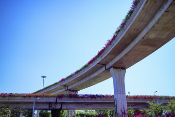 Urban highway overpass covered with plants and copy space for your text