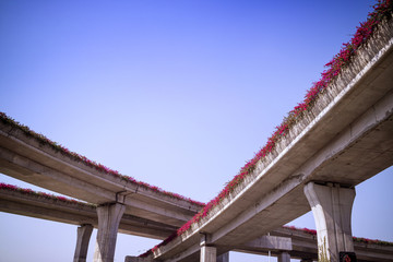 Urban highway overpass covered with plants and copy space for your text