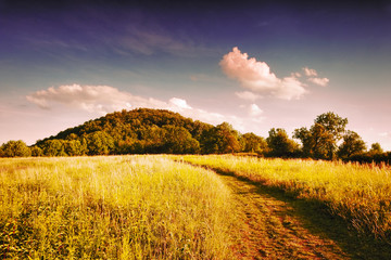 Field path leading to the hill to Radobyl hill in protected landscape areas Ceske Stredohori in...