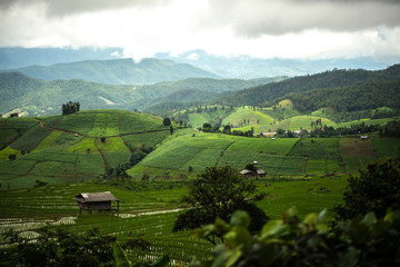 Naklejka premium Amazing Thailand Unseen Place Ban Pa Bong Piang