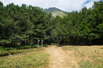 Paesaggio Appennino sorgenti del Secchia