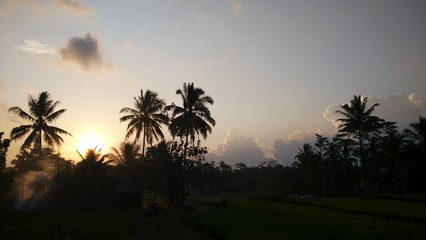Sonnenuntergang auf Bali