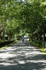 Obraz premium Fahrradfahrer mit Hund