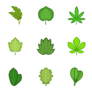 Spring leaves icons set, cartoon style