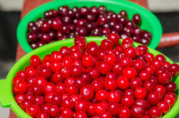 Dark cherries and light cherries