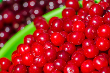 Dark cherries and light cherries