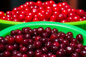 Dark cherries and light cherries